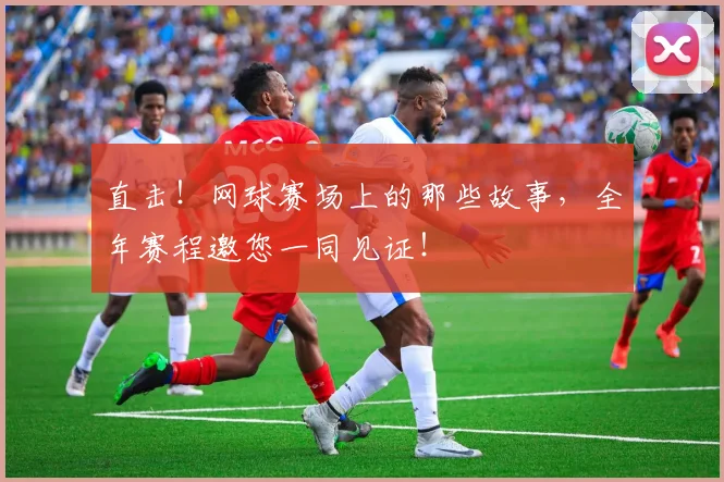 直击!网球赛场上的那些故事,全年赛程邀您一同见证!